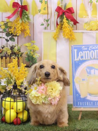 20240414モカちゃん